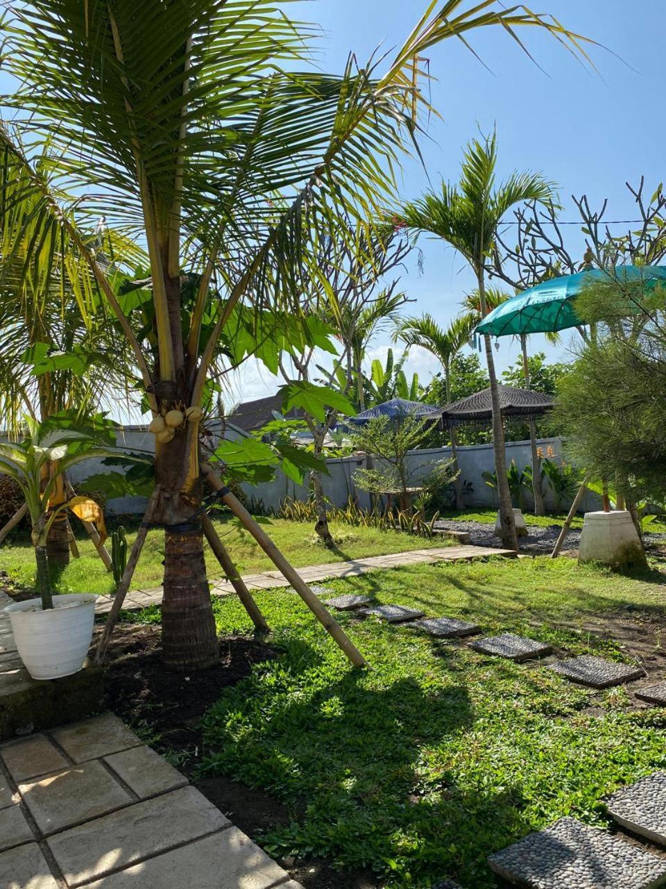 Sumbul View Surfcamp Hotel Airsatang Exterior photo